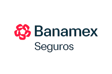Banamex Seguros Banamex Seguros