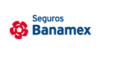 Seguros Banamex Logo de Seguros Banamex