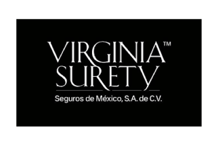 Virginia Surety Seguros de México Virginia Surety Seguros de México