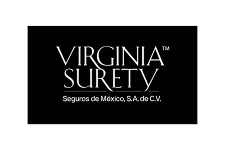 Virginia Surety Seguros de México Virginia Surety Seguros de México